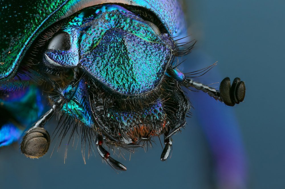 Фотография автора Андрей Шаповалов