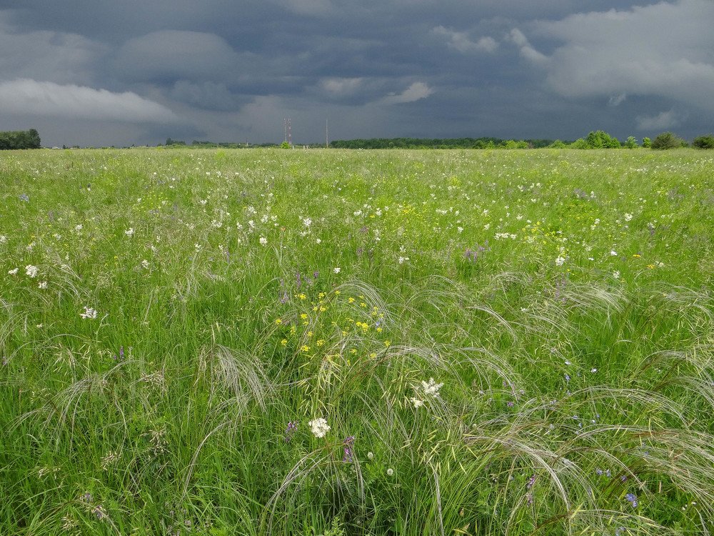 Photograph by Александра Петряева