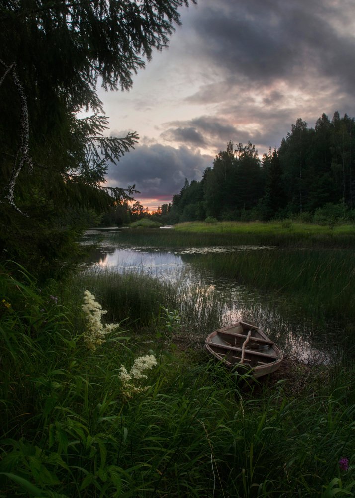 Photograph by александр таничев