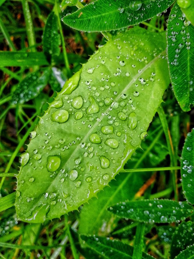 Photograph by Ирина