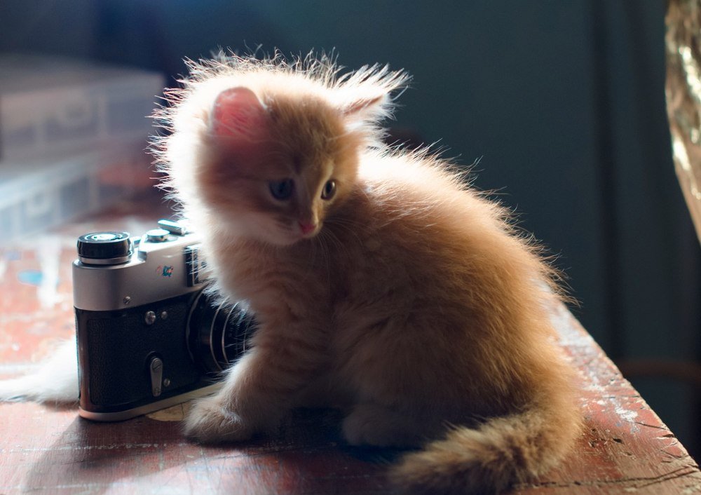 Photograph by Елена Немова