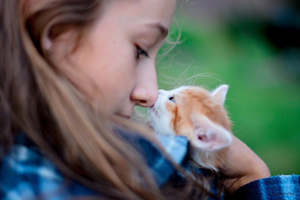 Photograph by Елена Немова