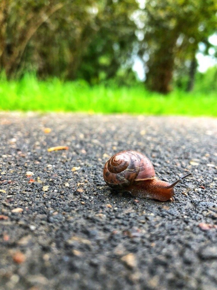 Photograph by Ирина Леонова