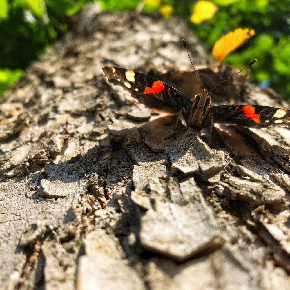 Photograph by Ирина Леонова