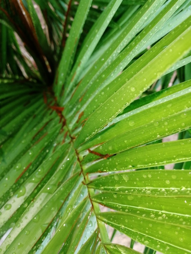 Photograph by Ирина