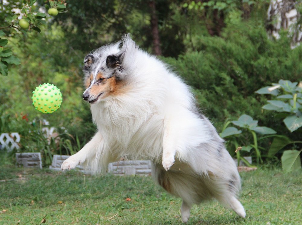 Photograph by Ирина Мамичева