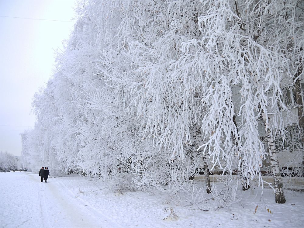 Фотография автора Клавдия Васильева