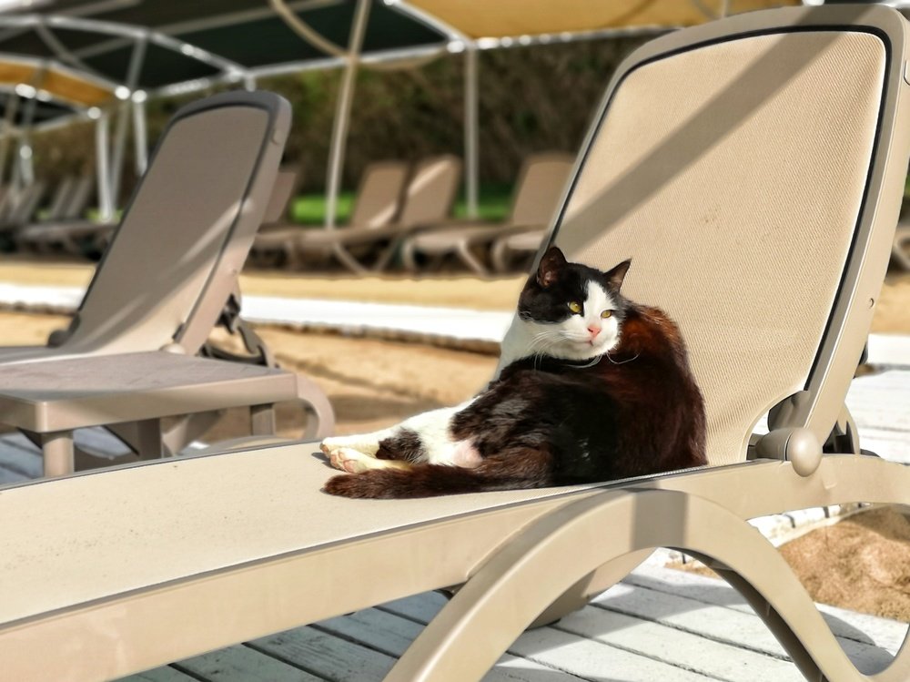 Photograph by Максим Ершов