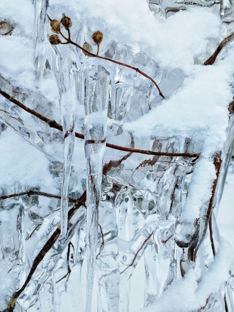 Photograph by Ирина