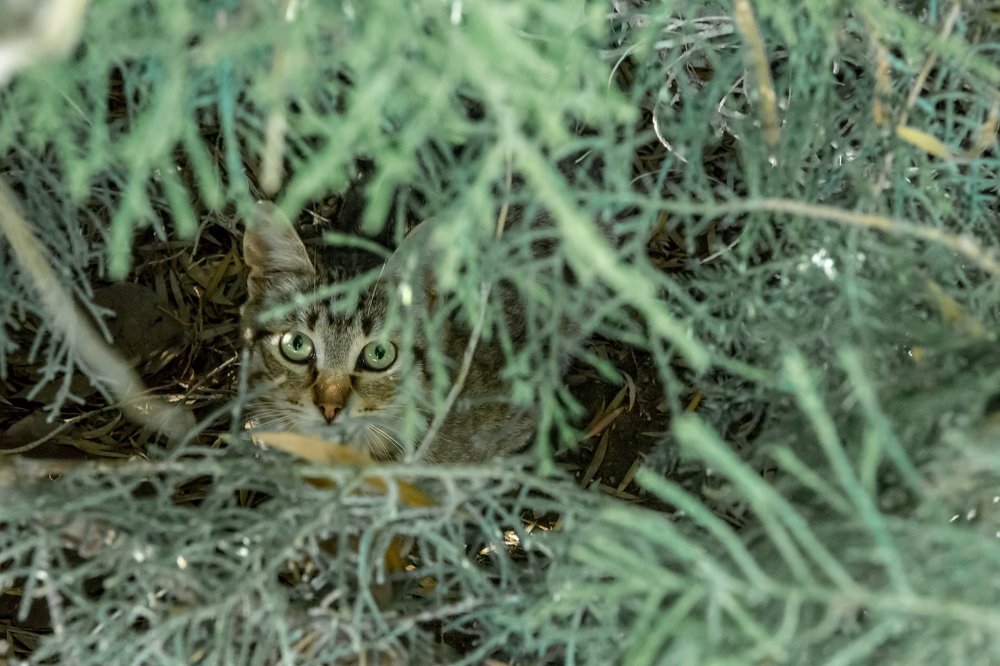 Photograph by Максим Ершов