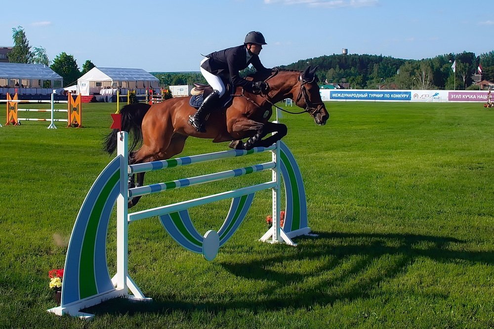 Фотография автора Игорь Чеботарёв