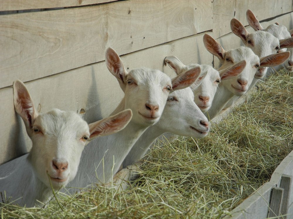 Друзья, приготовились, улыбочку!