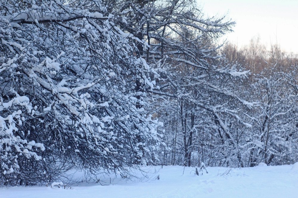 Photograph by Александра Петряева