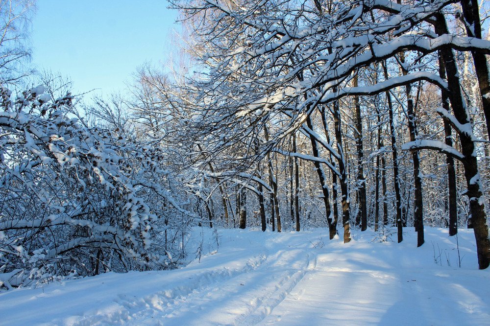 Photograph by Александра Петряева