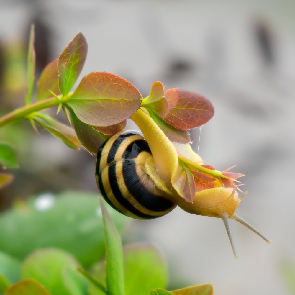 Photograph by Ашот Григорян