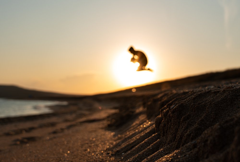 Photograph by Андрей Облап