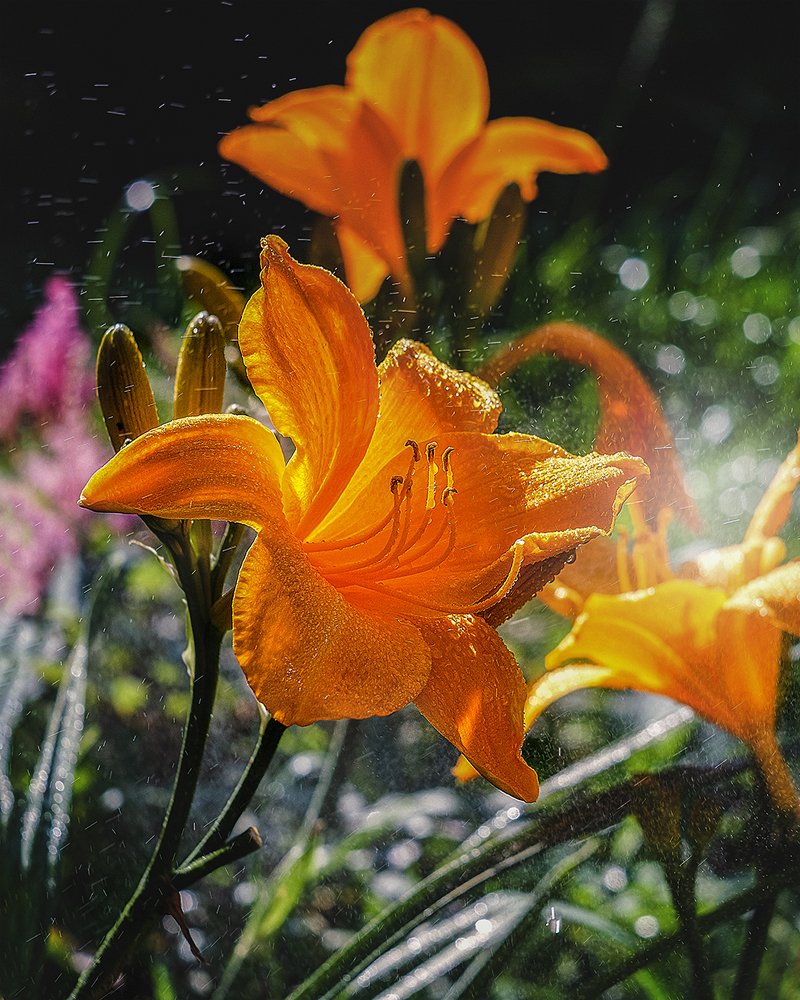 Photograph by Галина Иванова