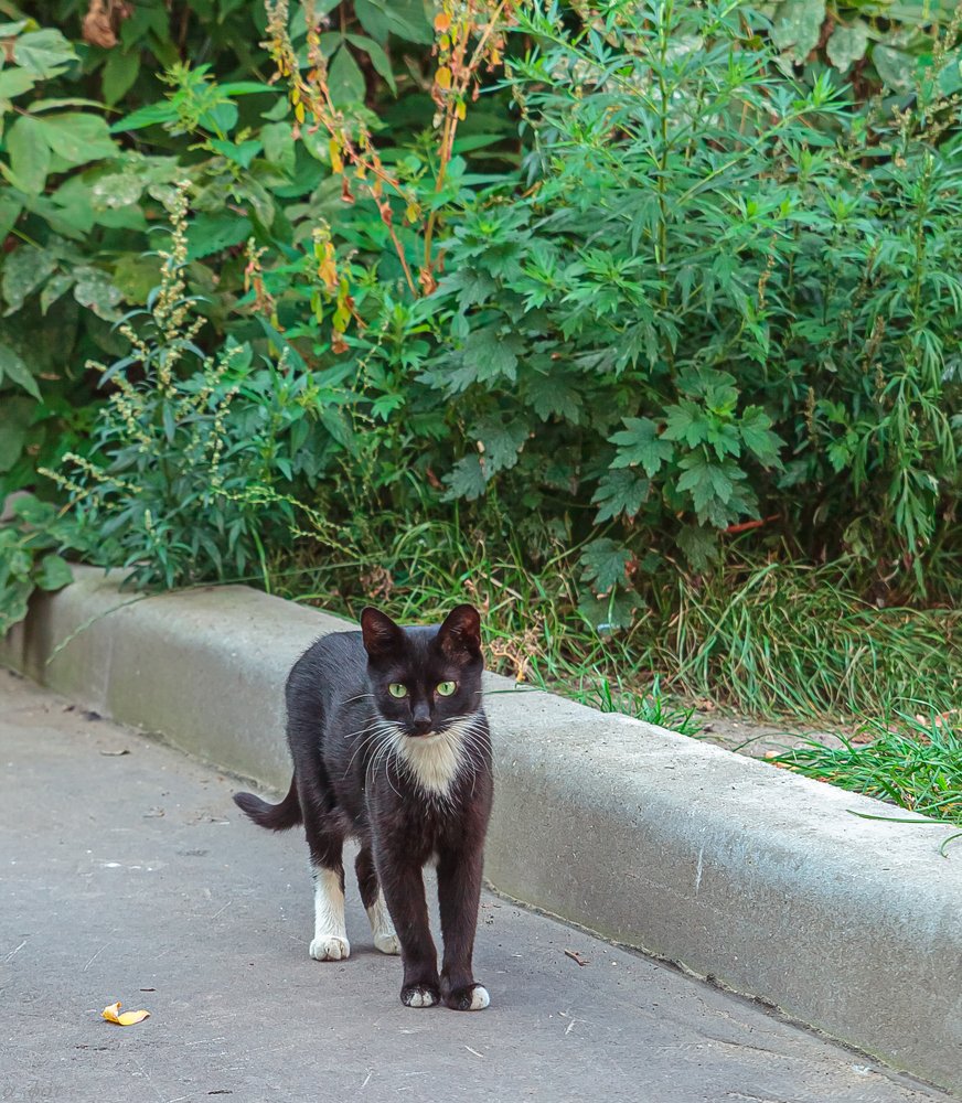 Photograph by Александр Фот