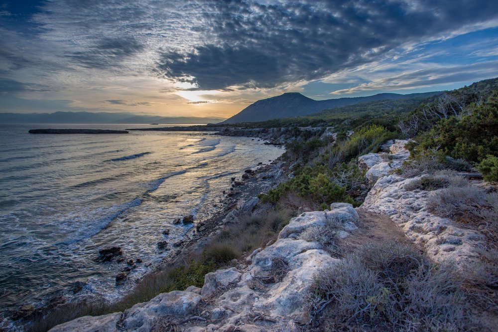 Photograph by Ekaterina Berendykhina