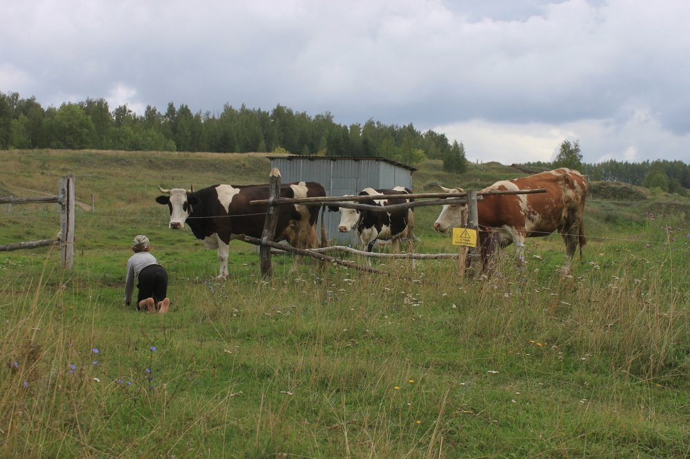 Photograph by Елена Ланина