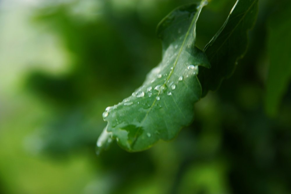 Photograph by omid zarei