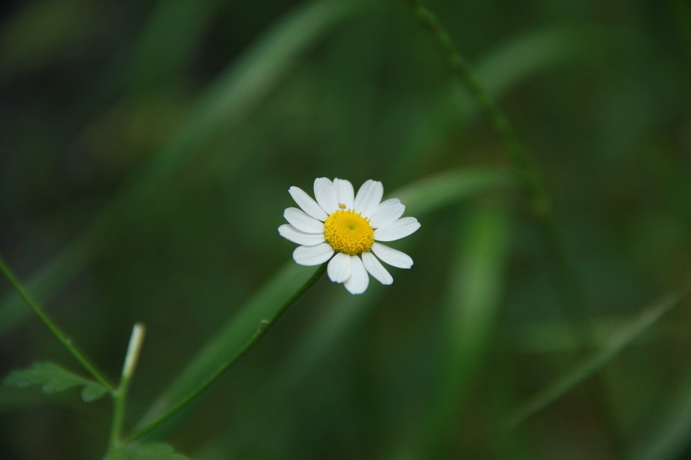 Photograph by omid zarei