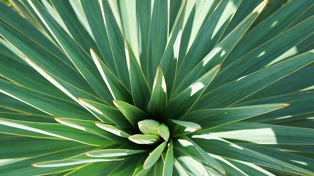 Photograph by Евгений Устинов