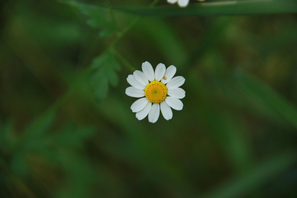 Photograph by omid zarei