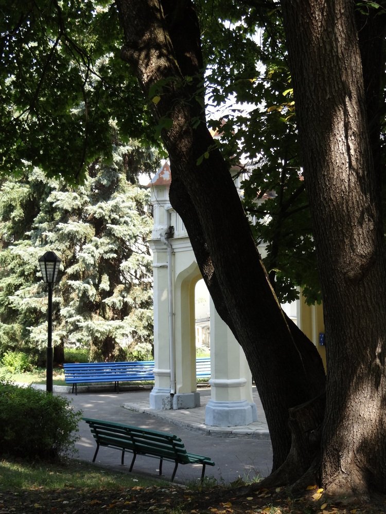 Photograph by Александра Петряева