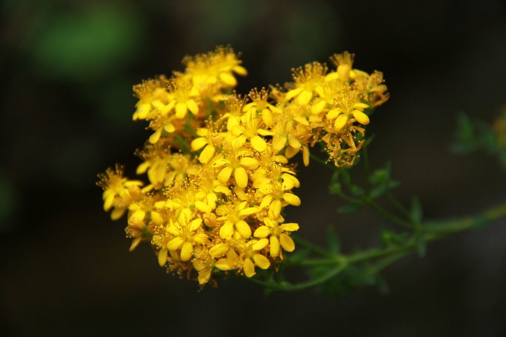 Photograph by omid zarei