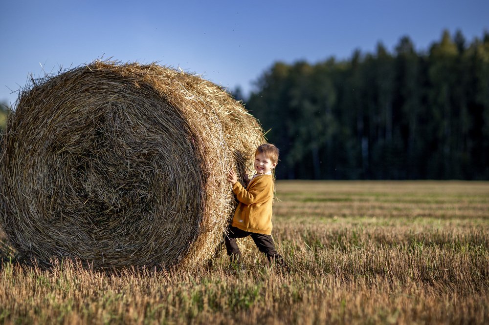 Photograph by Степанова Наталья