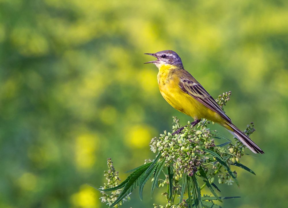 Photograph by Игорь Сарапулов