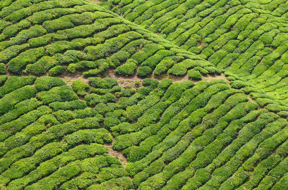 Photograph by Theo Crazzolara