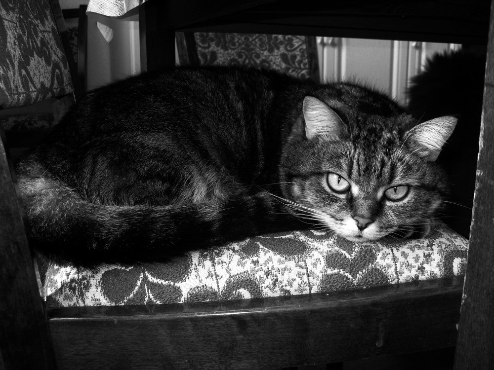 Photograph by Alisa Chepurina