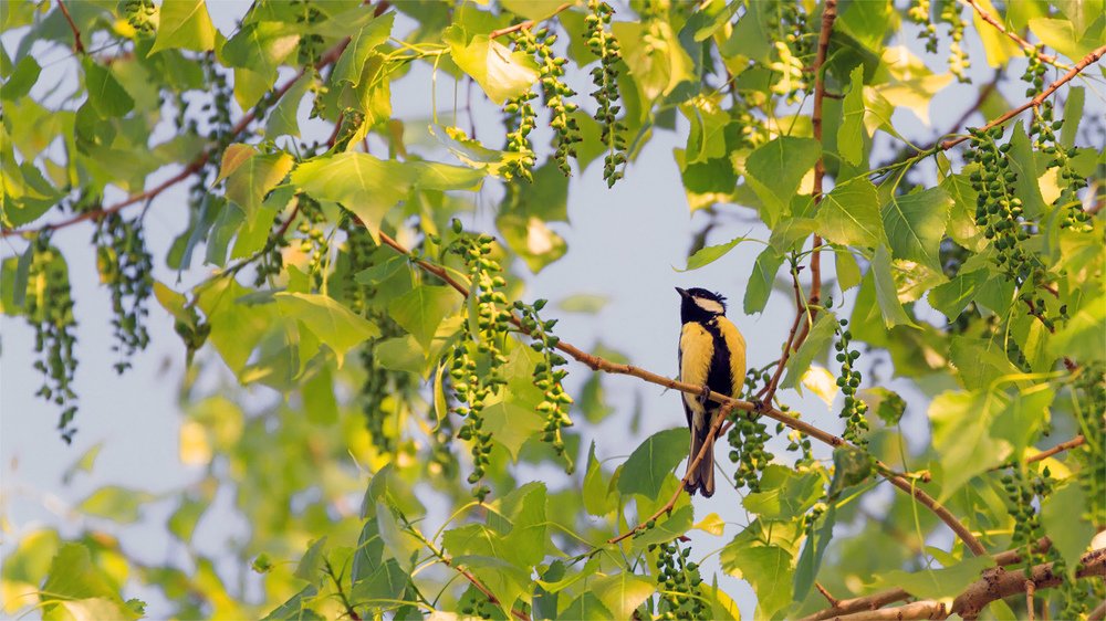 Photograph by Игорь Сарапулов