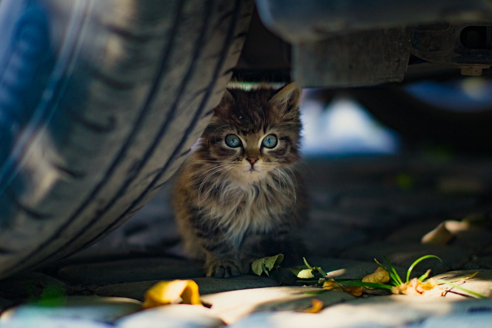 Photograph by Илья Кузнецов