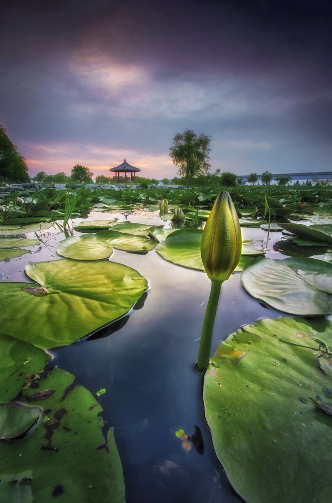 Photograph by faizal ahmed