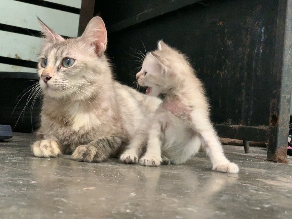 Photograph by Naven Kumar