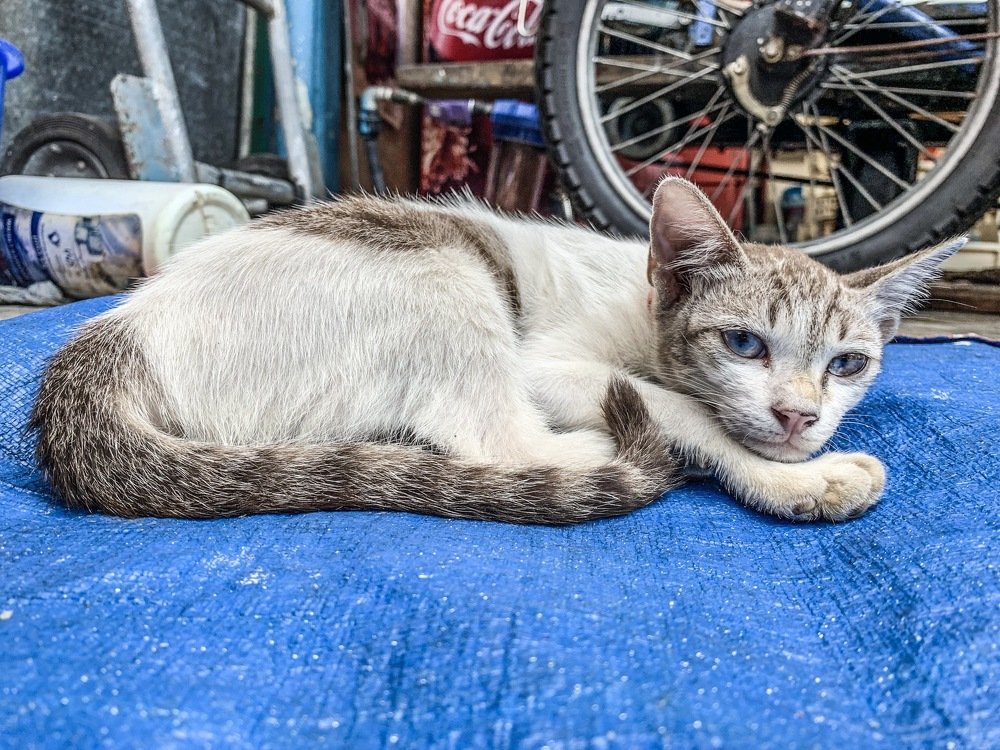 Photograph by Naven Kumar