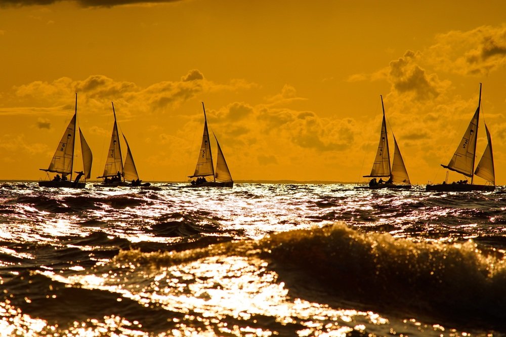 Регата в лучах заката