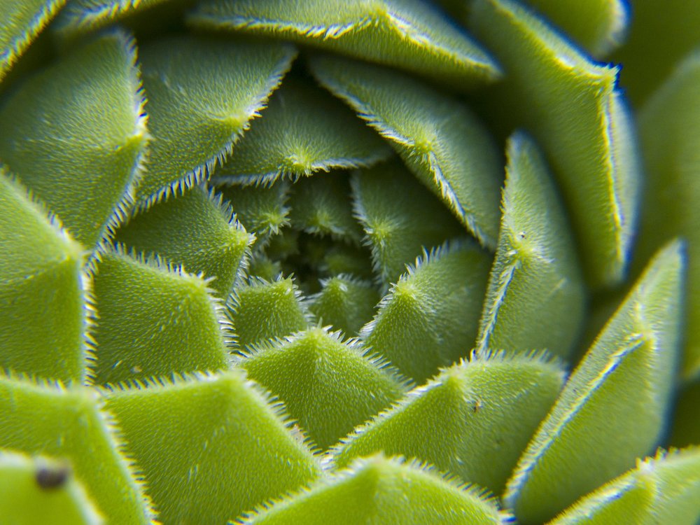 Photograph by Иван Доможирский