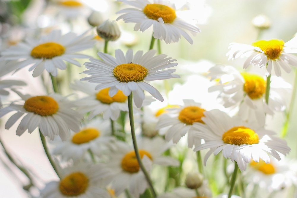 Photograph by Анастасия Мещерякова