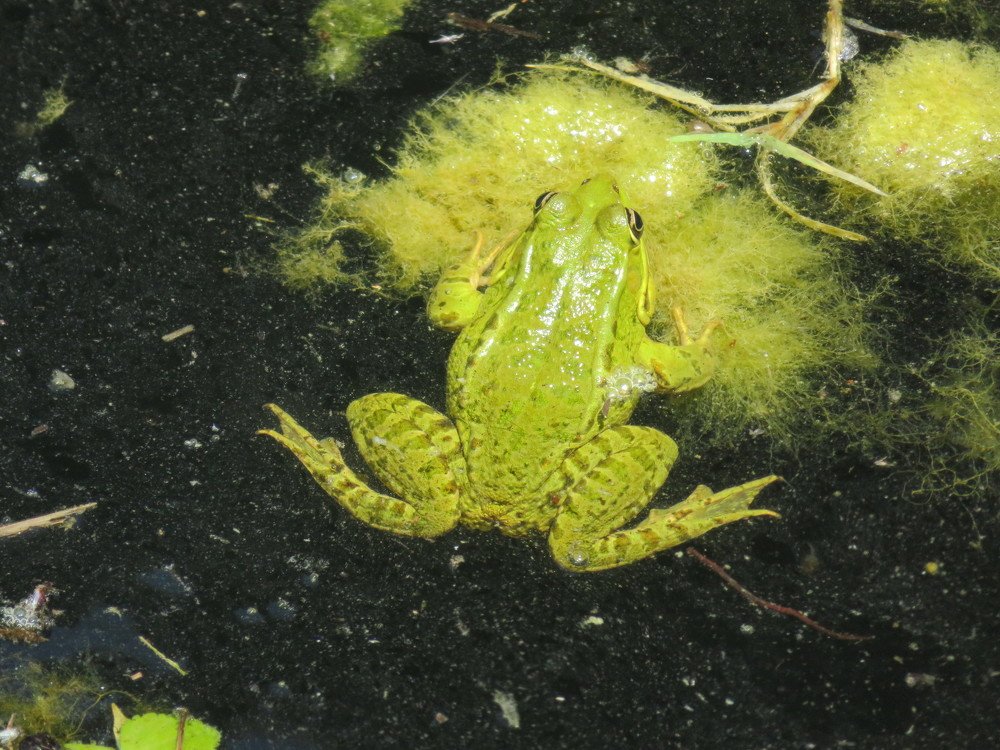 Photograph by Isabel Moreira