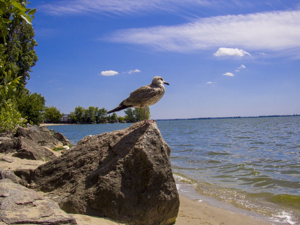 Photograph by Иван Доможирский