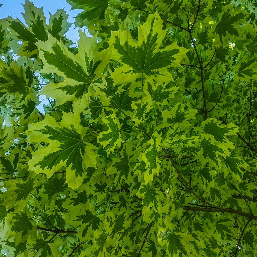 Photograph by Павел Агеев