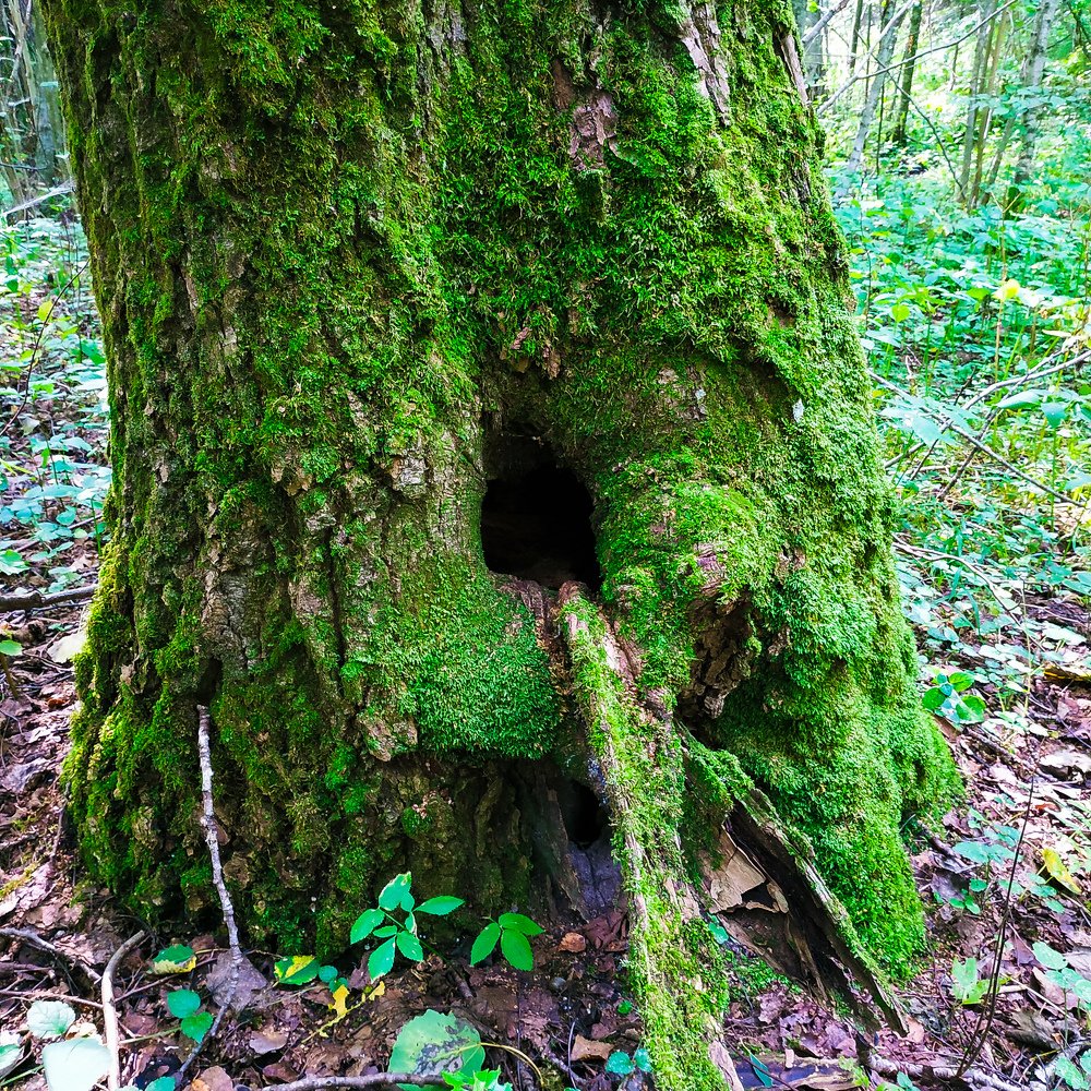 Photograph by Павел Агеев