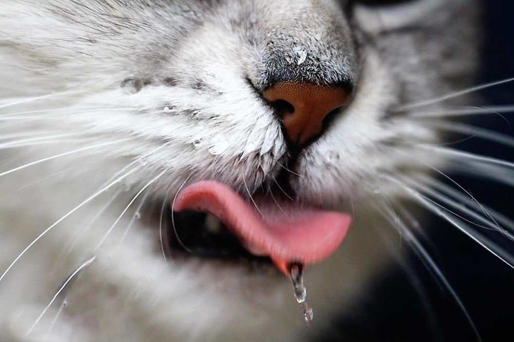 Фотография автора Юлианна Гуртовенко