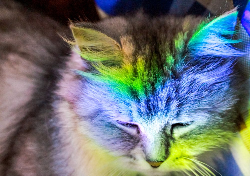 Фотография автора Юлианна Гуртовенко