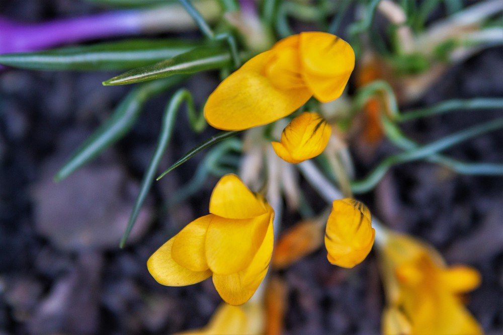 Фотография автора Юлианна Гуртовенко