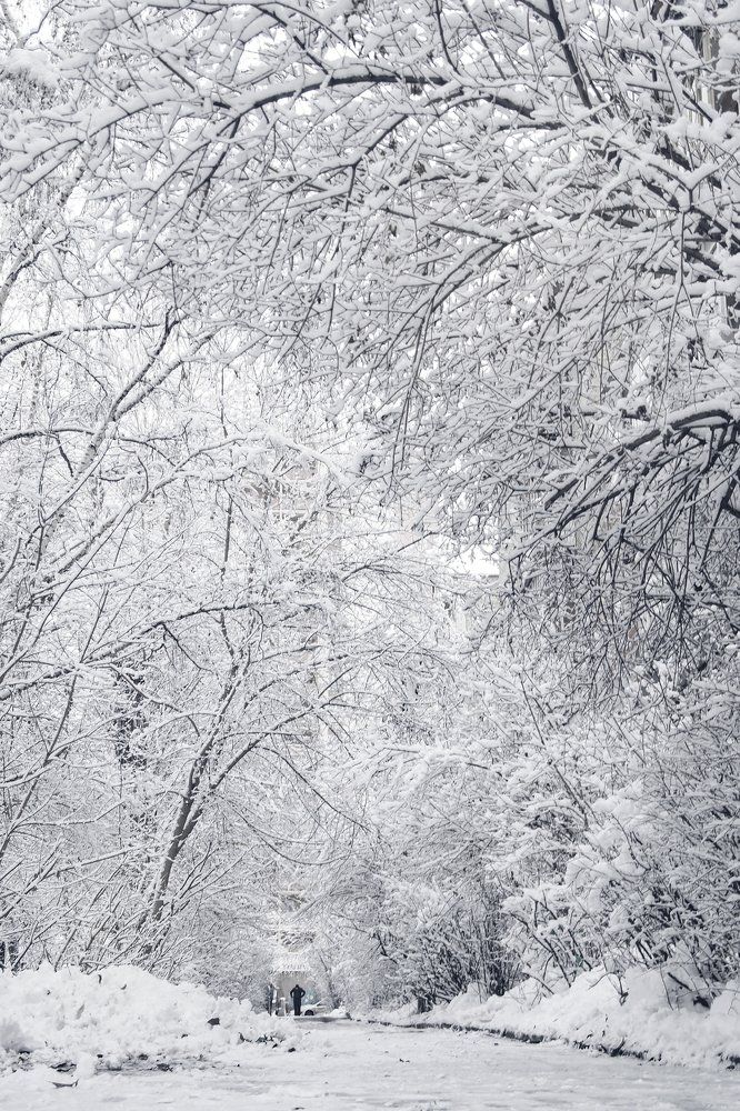 Photograph by Анастасия Мещерякова